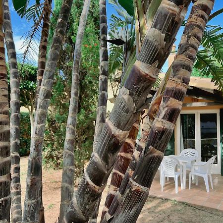 Апартаменты Bungalow Tropical Nº6 - Сон-Шоригер Экстерьер фото